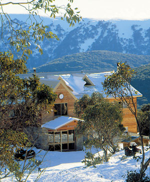 Summit Ridge Alpine Lodge - Accommodation Mount Tamborine