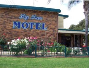 Fig Tree Motel - Accommodation Mount Tamborine