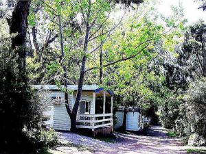 Flinders Caravan Park - Accommodation Mount Tamborine