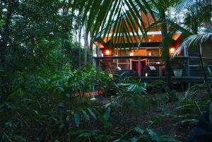 Songbirds Rainforest Retreat - Accommodation Mount Tamborine